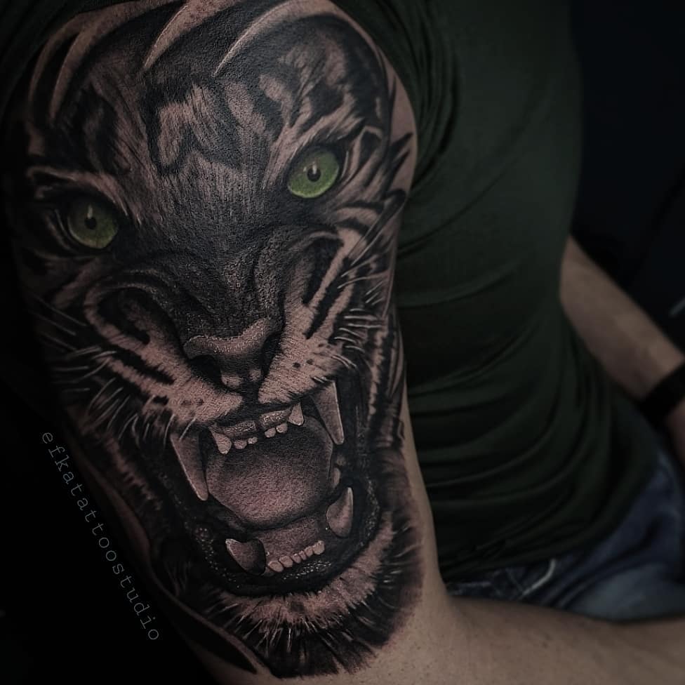 Best Tiger Eye Tattoo Ideas