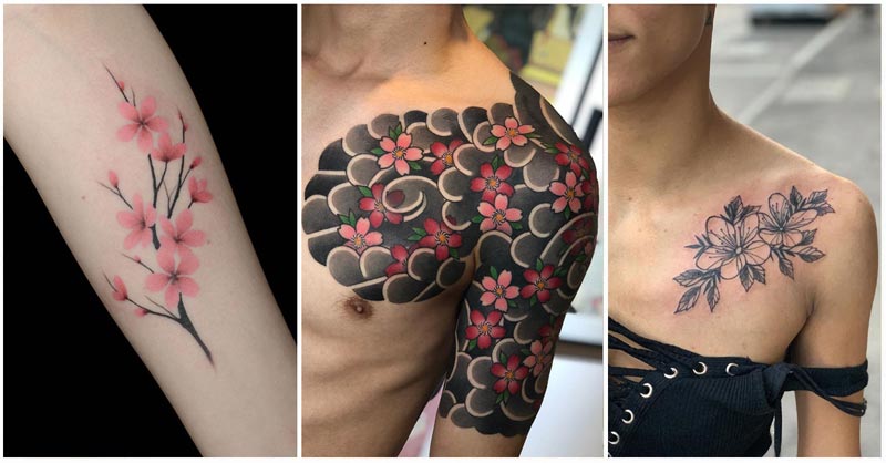 Sakura Tattoo: 3 designs